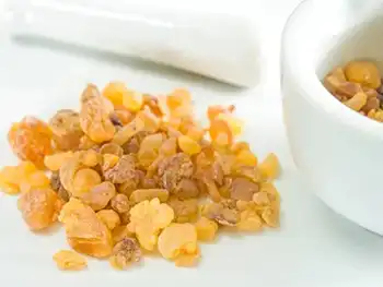 Enhance Your Skin with Boswellia Serrata Extract Powder